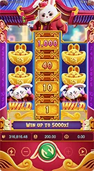 Fortune Rabbit · Panduan Antarmuka dan Tata Letak Gulungan Fortune Rabbit